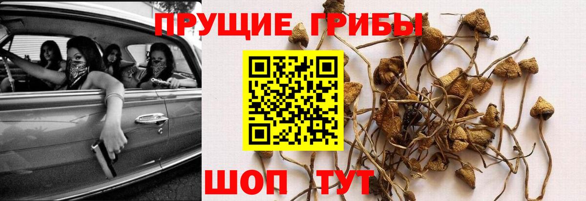 Галлюциногенные грибы MAGIC MUSHROOMS Сыктывкар