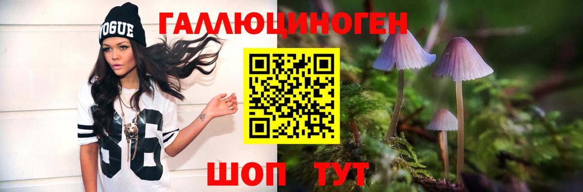 Псилоцибиновые грибы прущие грибы  Вход с VPN  Псилоцибиновые грибы прущие грибы  Сыктывкар 